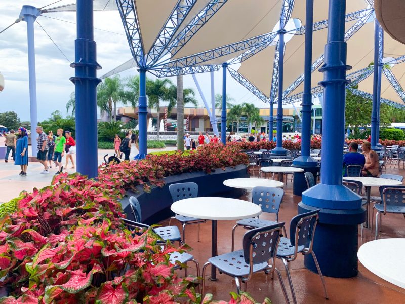 17 Best (And Worst!!) Epcot Restaurants - Disney Trippers