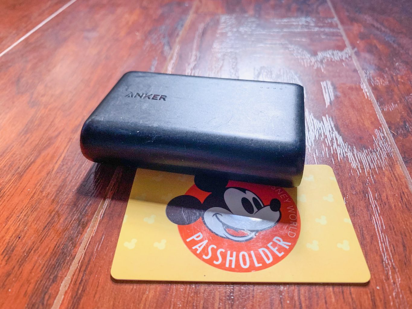 take a power core with you to Disney