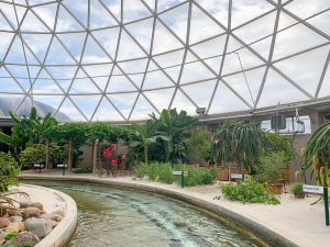 living with the land is an underrated ride at epcot, and it has a greenhouse