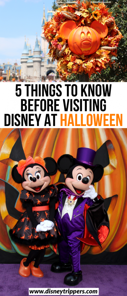 5 Things To Know Before Visiting Disney At Halloween | Insider Tips for Halloween At disney | Tips for Mickey's Not So Scary Halloween Party At Walt Disney World | How to visit Halloween At Disney World | best time to visit Disney for Halloween | Halloween travel tips for Disney | tips for planning a fall trip to Disney World #disney #halloween #disneyworld #disneycostume