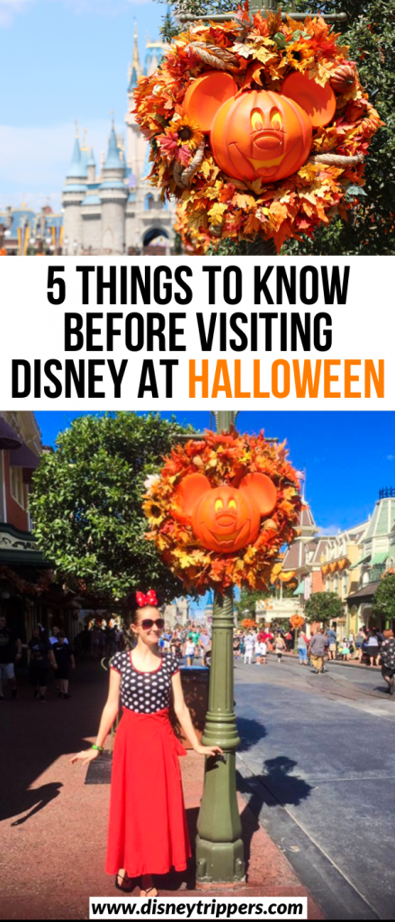 5 Things To Know Before Visiting Disney At Halloween | tips for Mickey's Not So Scary Halloween Party | visiting Disney at Halloween | Disney halloween Costume tips | Disney travel tips | tips for planning a trip to Disney at Halloween #halloween #disney