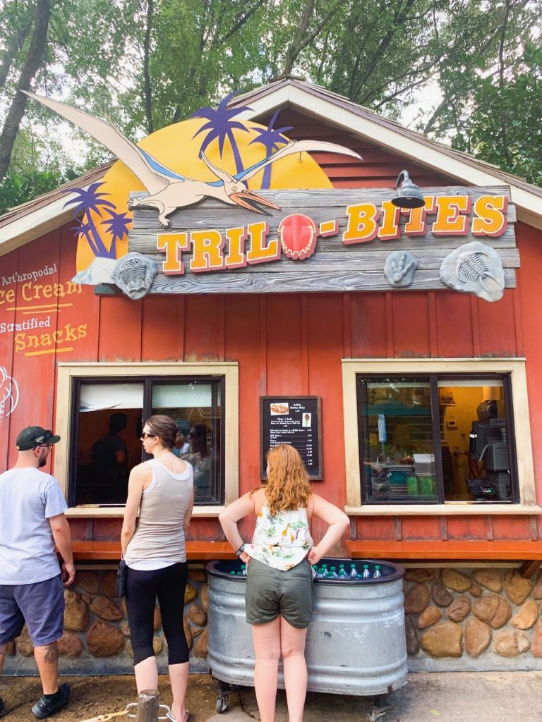 people ordering at a window quick service at animal kingdom