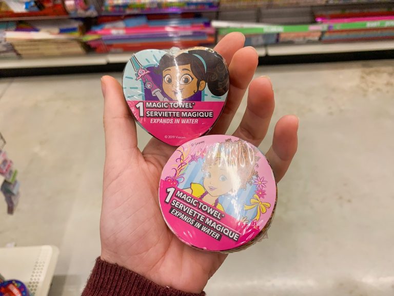 33 Useful Things To Buy From Dollar Tree Before Disney Disney Trippers