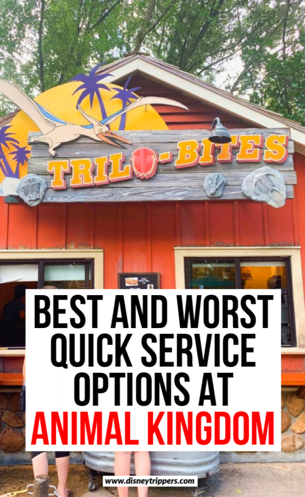 11 Best (And Worst!) Animal Kingdom Quick Service Dining Options