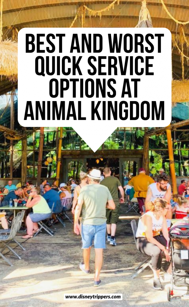 best and worst quick service options at animal kingdom