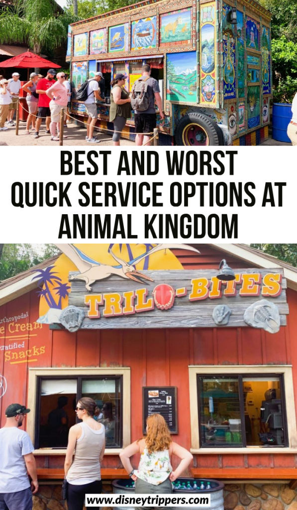 11 Best (And Worst!) Animal Kingdom Quick Service Dining Options