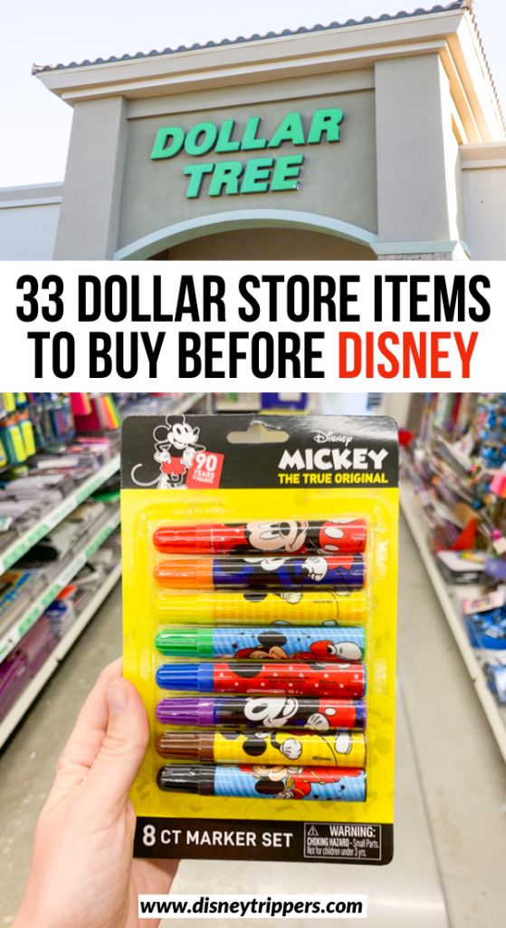 10 Items To Buy At The Dollar Store Before Your Disney World Trip