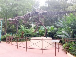 brown T-rex skeleton surrounded by trees
