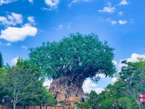 Tree of Life with carvings in trunk