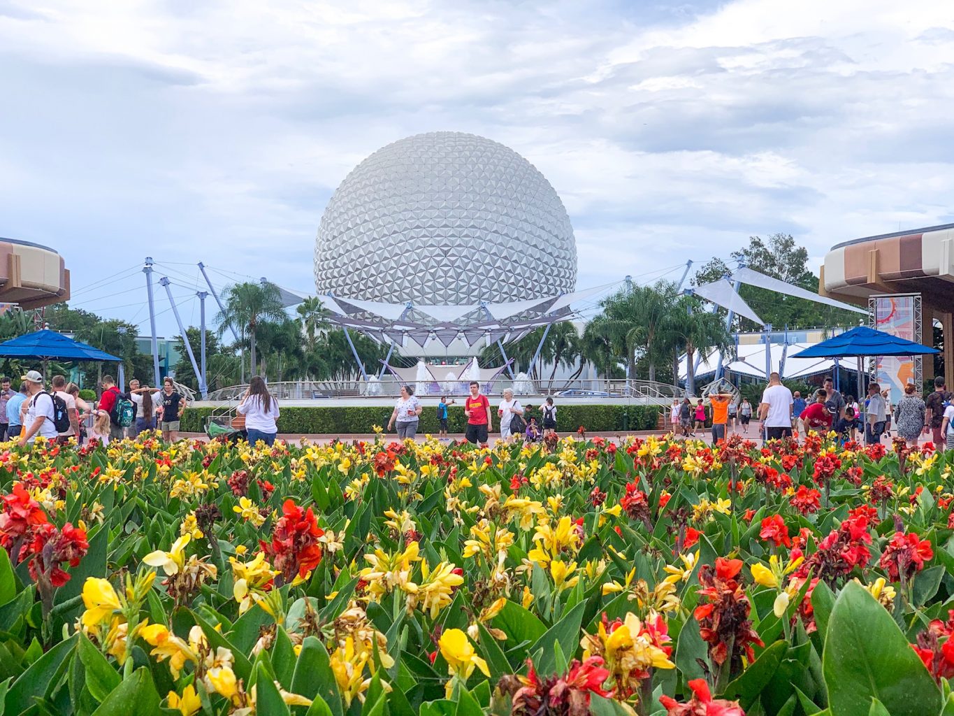 Epcot Futureworld With Flowers