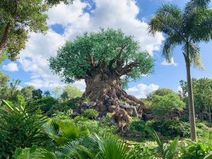 huge intricately carved tree surrounded by greenery Animal Kingdom rides