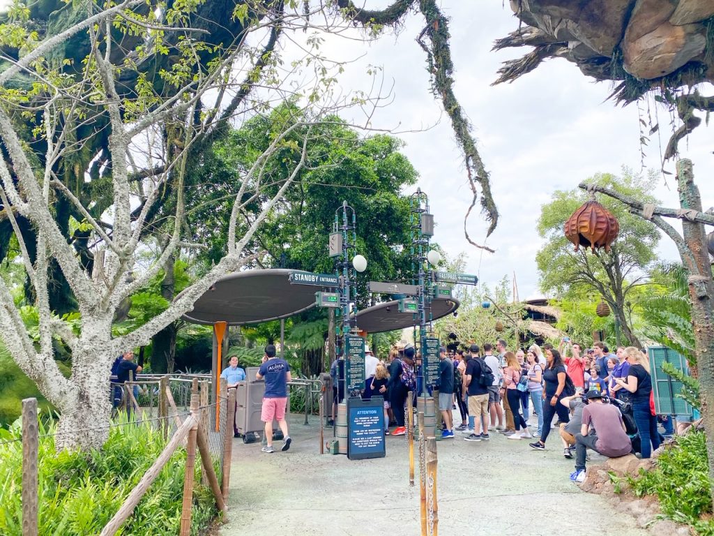 people in line for a ride surrounded by plants best Animal Kingdom rides