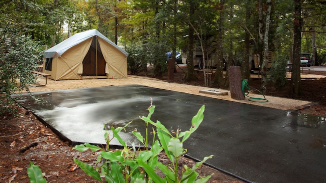 Fort Wilderness Campsite