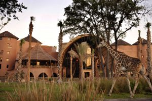 red dirt colored building with giraffe in front Disney deluxe resorts