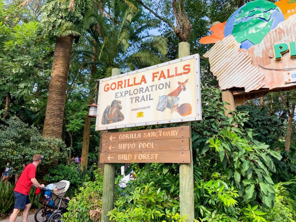 Photo of Gorilla Falls.