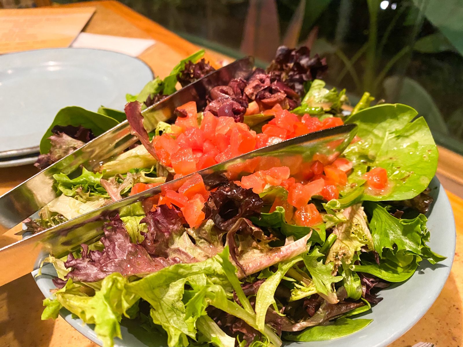 Harvest Salad at Living With The Land in Epcot