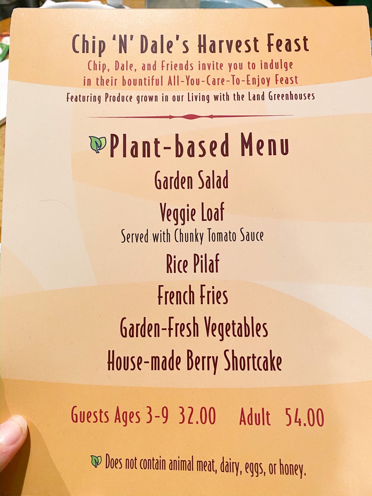 garden grill menu for vegans and vegetarians 