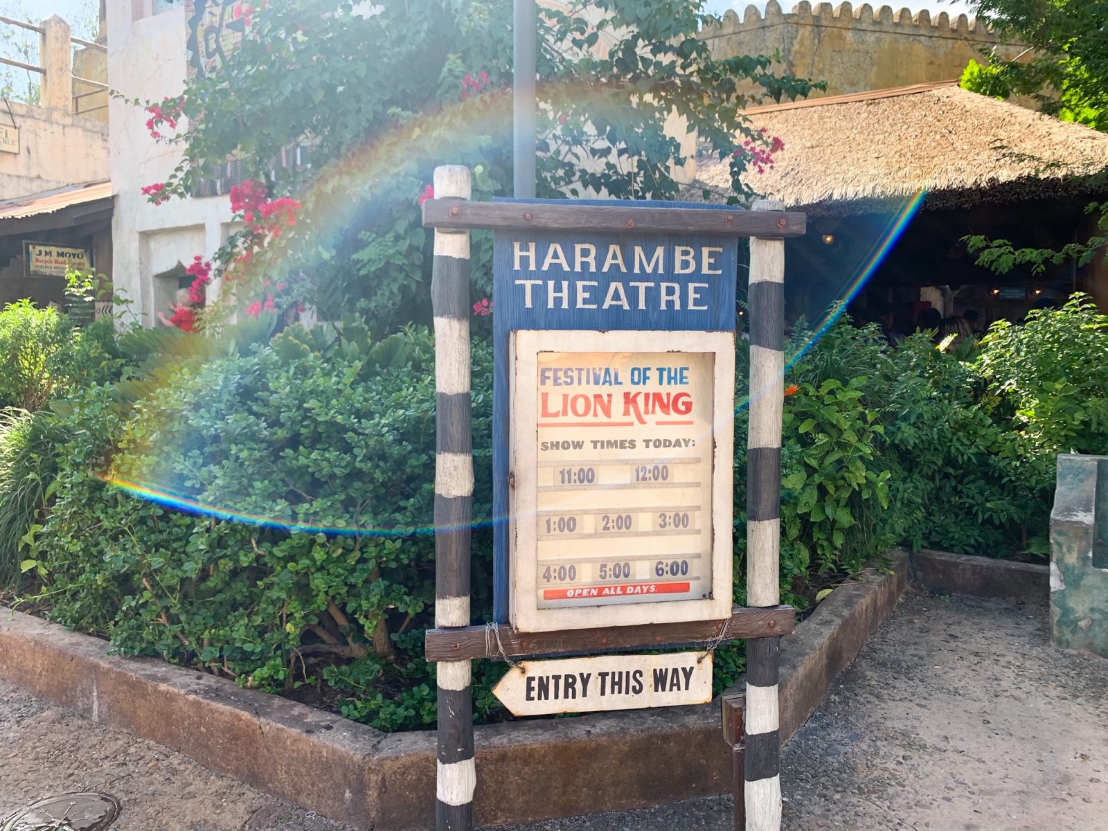 wooden sign for festival of the lion king with showtimes best shows at disney world 