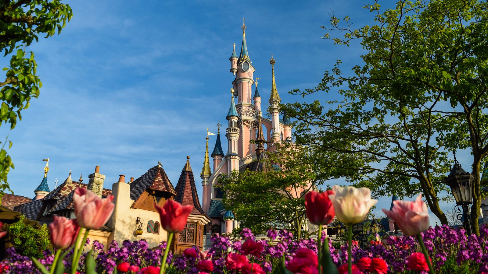 Disneyland Paris Castle with flowers