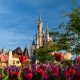 Disneyland Paris Castle with flowers