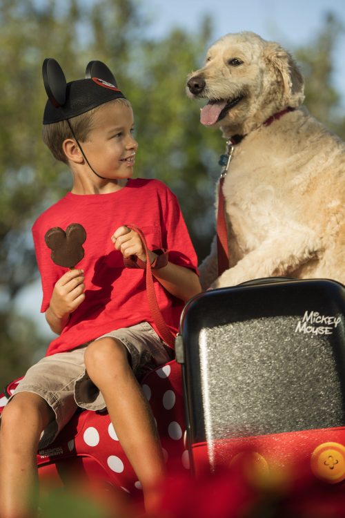 photo of a young boy holding an ice cream and smiling at his dog; Fort Wilderness best Disney resort for kids