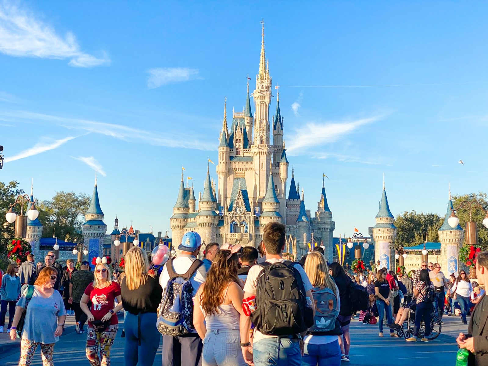 Close up shot of Cinderella Castle