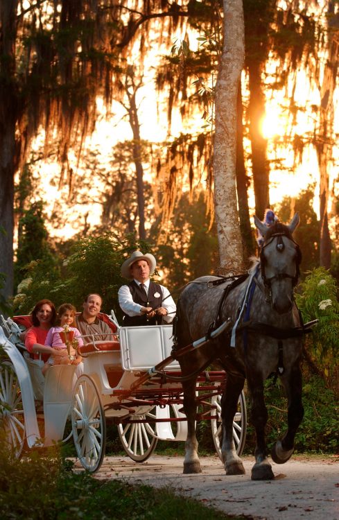 photo of a family in a horse drawn carriage at Fort Wilderness