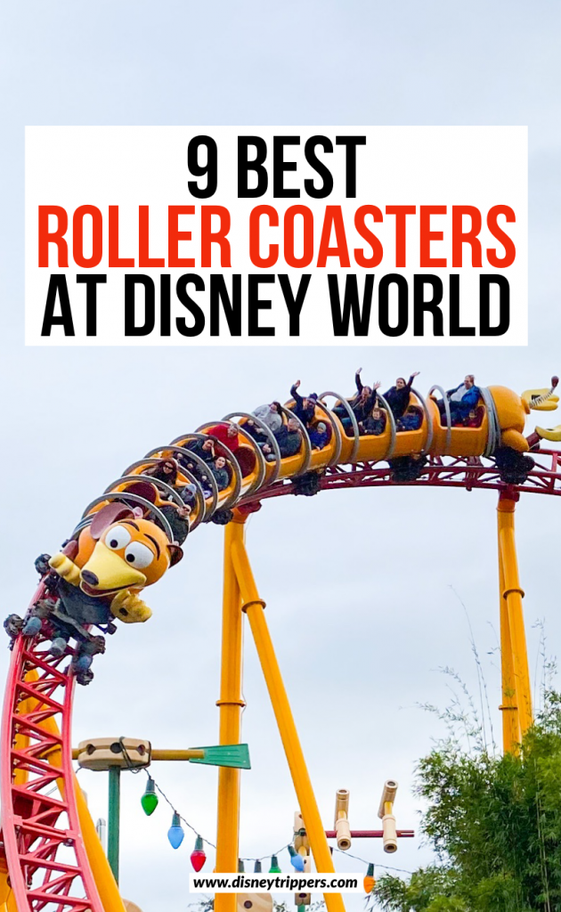 10 Best Disney Parks Roller Coasters for Thrill Seekers