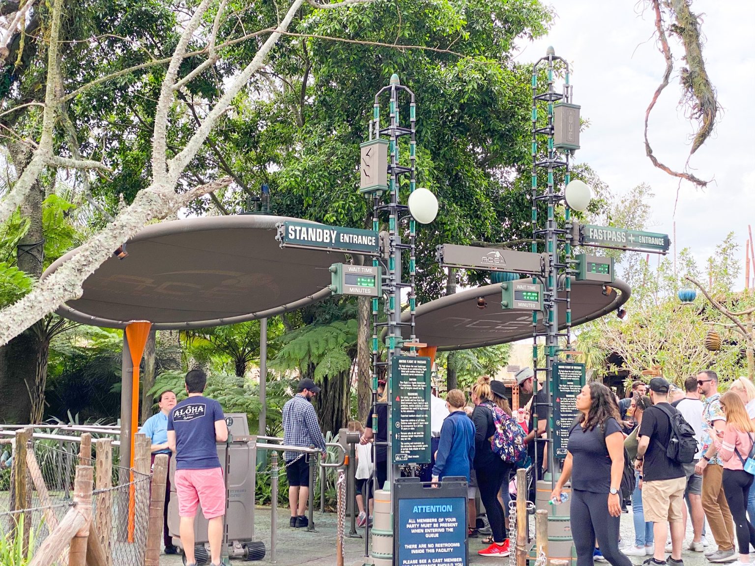 11 Tips for Doing Rope Drop at Disney Like a Pro Disney Trippers