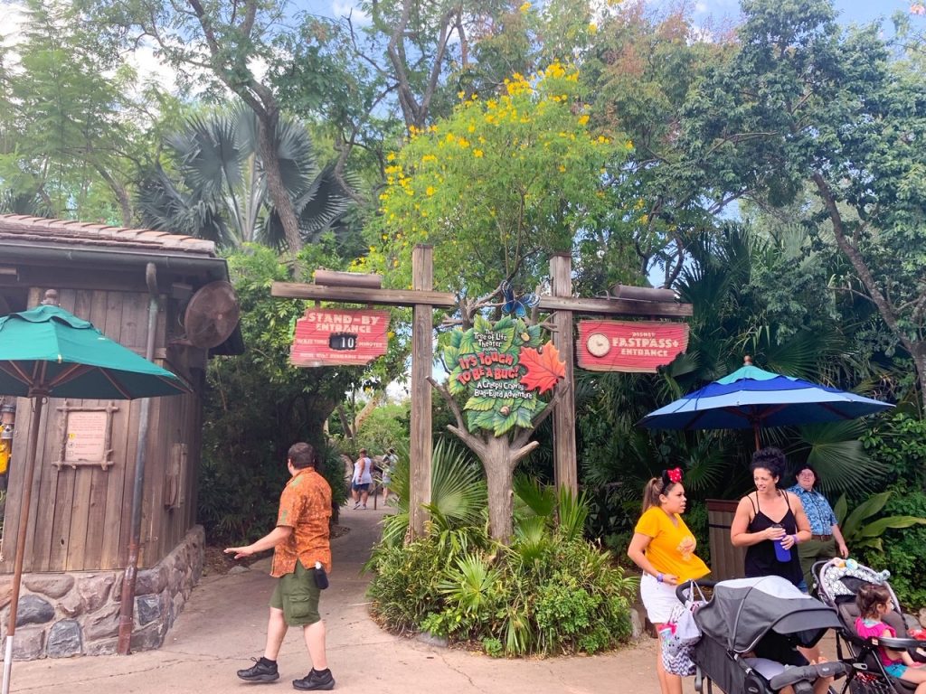 photo of the lines at its tough to be a bug, one of the best things to do at Animal Kingdom