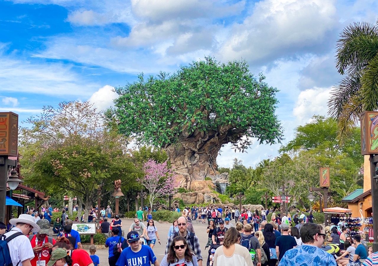 photo of the Tree of life, definitely will feature on your Animal Kingdom touring plan