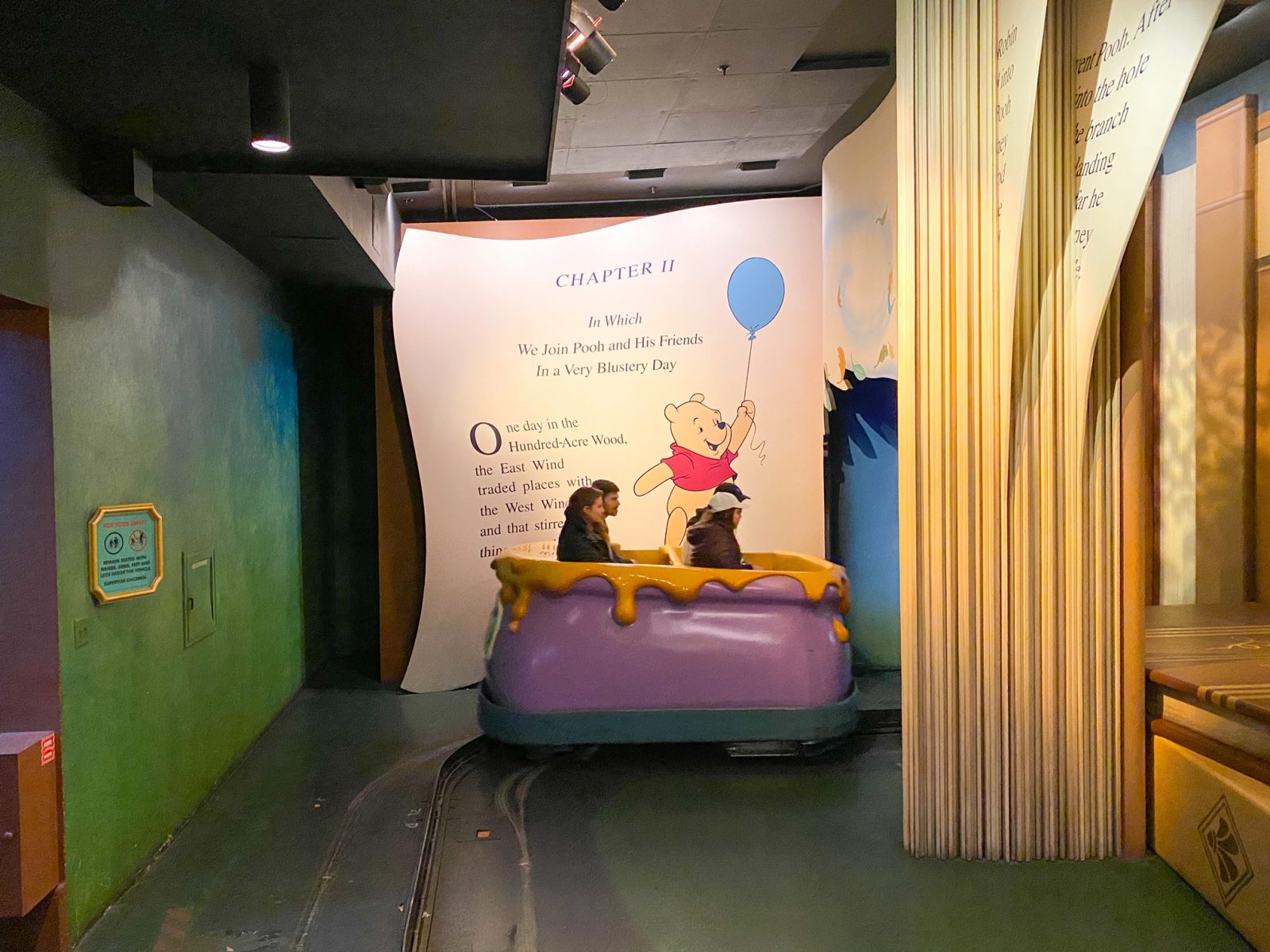 Disney disability pass, going on Winnie the pooh