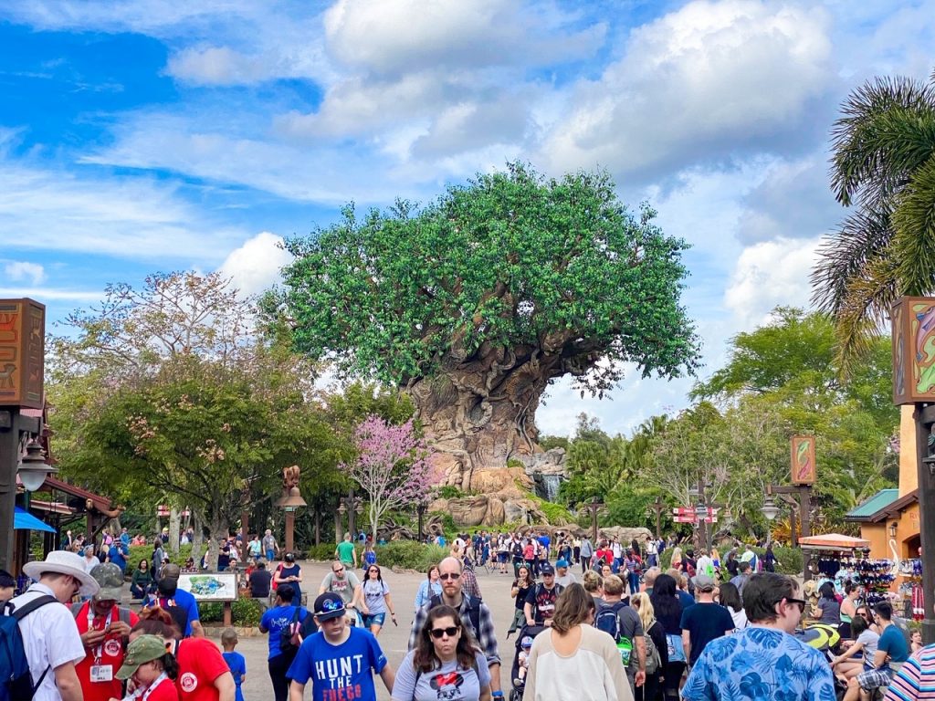 photo of the Tree of Life at Animal Kingdom; a park packed with attractions that you'll need one of our Disney touring plans to help you make the most of your time there