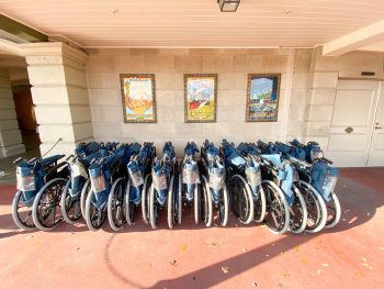 Wheelchairs at Disney World