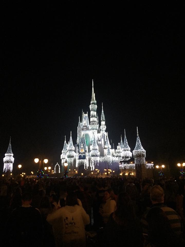 front facing night view of Cinderella Castle decorated with icicle lights for Christmas