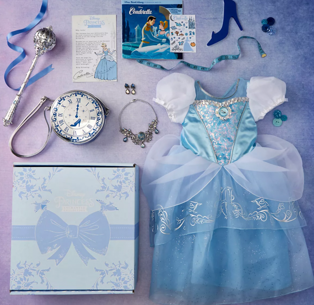 Cinderella disney subscription box