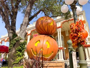 pumpkins at MNSSHP