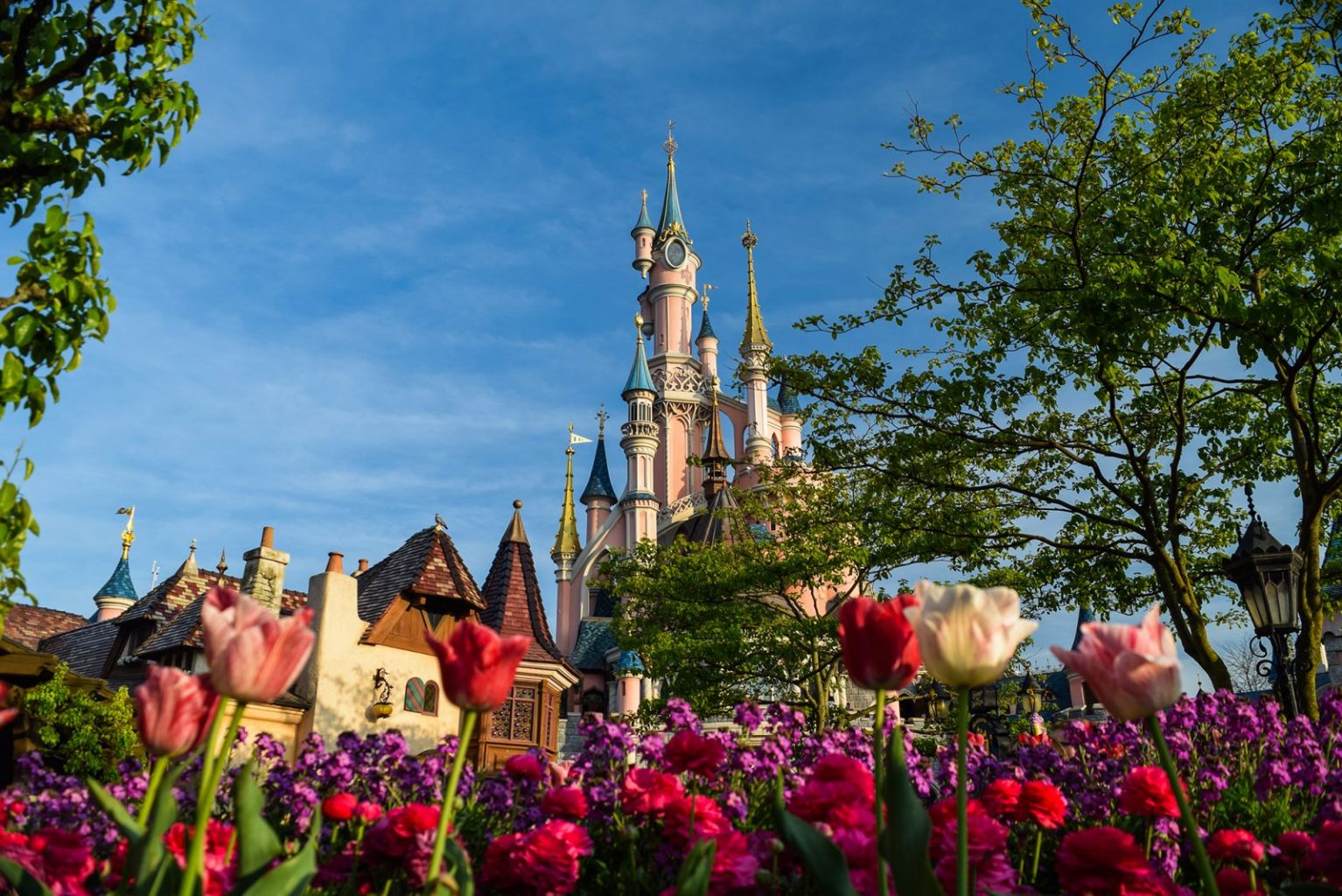A low shot of the Disneyland Paris castle showcasing beautiful flowers
