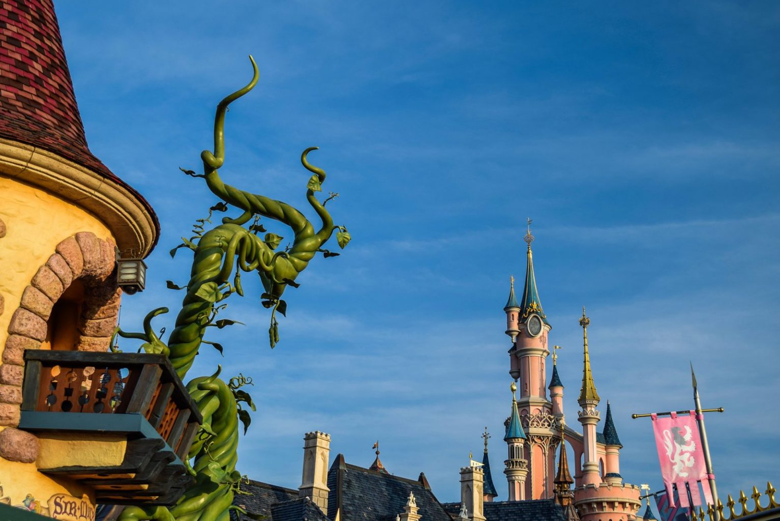 Disneyland Paris Annual Pass Castle shot with beanstalk in foreground