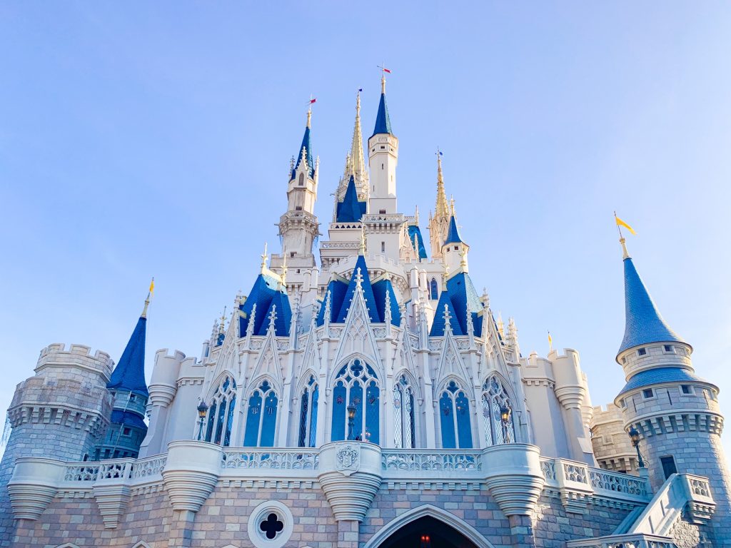 Disney Castles Magic Kingdom