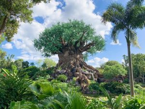 tree of life at animal kingdom