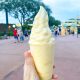 A picture of Dole Whip