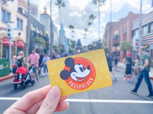 picture of disney annual pass