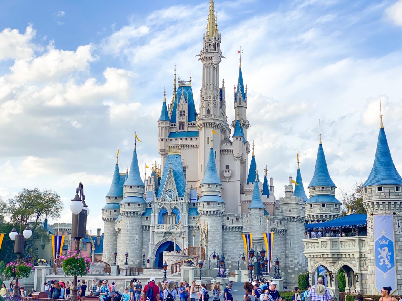 The magic kingdom castle - you can purchase lots of flavors of Dole Whip at Magic Kingdom