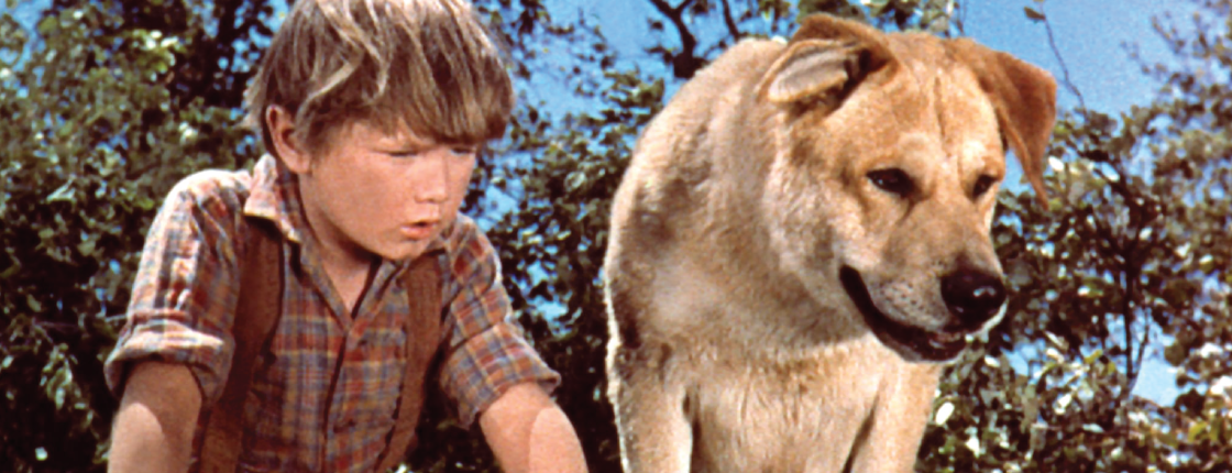 A classic Disney dog movie shot from Old Yeller