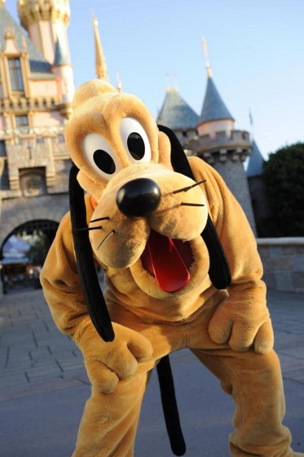 Disney dog Pluto outside the castle in Disneyland