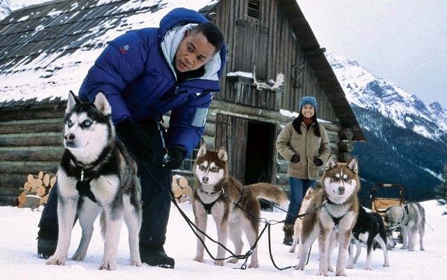 The huskies from Snow Dogs