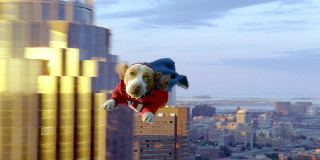 Underdog a flying beagle from Disney dog movie Underdog
