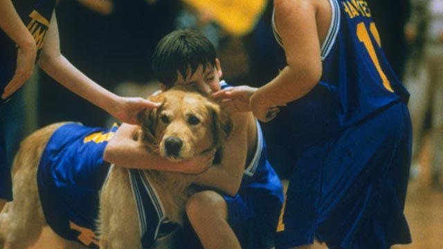 Airbud the basketball playing Disney dog movie