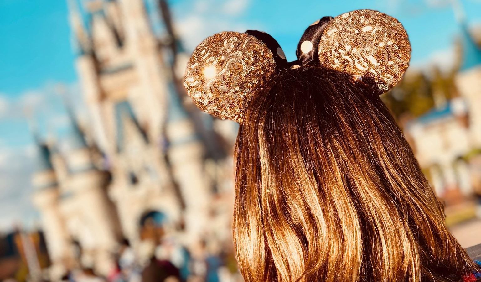 Things To Do In Disney World Tours with Ears